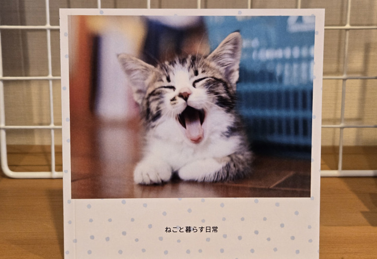 猫写真展『dreaming』 大石裕子さん 2025年10月26日(日)～11月29日(土)